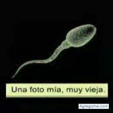 Fran75 chico soltero en Hervas