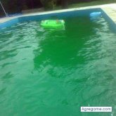 Damy_Re_Amor foto #13