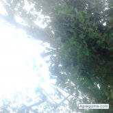 Foto de perfil de Carlosssz