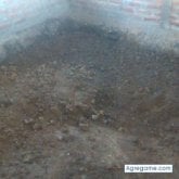 Lobo solitario