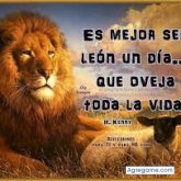 williperez chico soltero en College Park