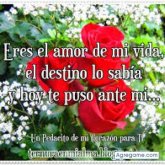 Desireelozada foto #55