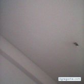 remigioreyes chico soltero en Móstoles