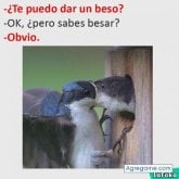 Foto de perfil de faruc300