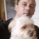joseluis8286