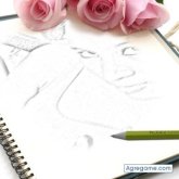 riquerlis foto #6