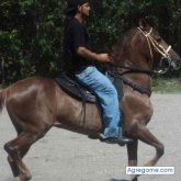 Juliodiaz91 chico soltero en Lafayette