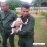 Foto de perfil de Juanjaviel