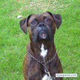 jajaja chica soltera en Mariano J. Haedo