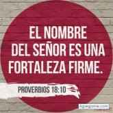 andresmambuca8000 foto #6