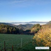 Busco conocer gente.