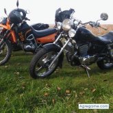 alejandromartin8144 chico soltero en Temperley