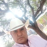 chepevalencia53296