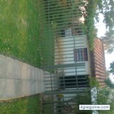 robertmartinez foto #9