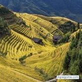 aeleonaeleon foto #6