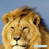 Foto de perfil de ismaelcv