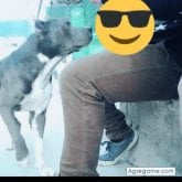 Foto de perfil de pedroperez2872