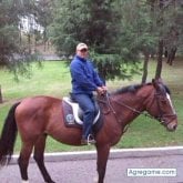 Busco pareja. UNA PERSONA CON BUENOS