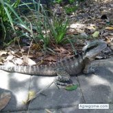 ibantxu9505 chico soltero en Pedro Abad