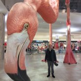 Recepcionista. Busco pareja. Busco mujer