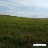Ver fotos más de Juannnsierra