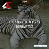 Foto de perfil de jonathanramirez5809