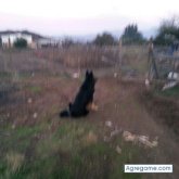 Chatear con solitario2635 de María Pinto