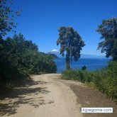Sansonn chico soltero en Llanquihue