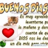 Enrique_Fonseca chico soltero en Barinas