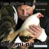 En casa. Busco matrimonio. Un chica.