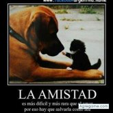 jameskarter90 chico soltero en Santo Domingo Ingenio