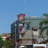 josephcach chico soltero en Chetumal