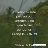 andresmambuca8000 foto #15