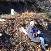 Busco pareja. Mujeres solteras viudas o