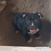 Foto de perfil de teamoe472