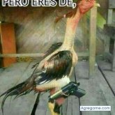 Chatear con leonardolopez2894 de Overland Park