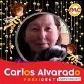 Mujeres solteras en Curridabat
