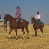 Busco pareja. Mi media naranja si es