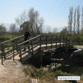 R0BBIE foto #11
