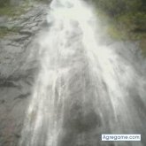 henrryaraque chico soltero en Bailadores