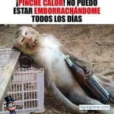Foto de perfil de mariosoza