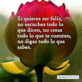 Allad chico soltero en Heredia