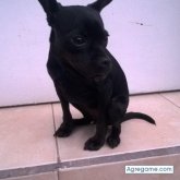 ezequiel654321