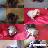 kiket foto #6