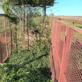 Hombres solteros y chicos solteros en Misiones, Argentina