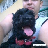 MilerMiler chico soltero en Asunción