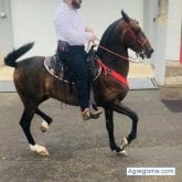 Foto de perfil de DaniSR08