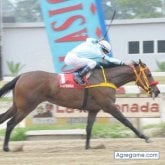 Foto de perfil de luisramonmachado