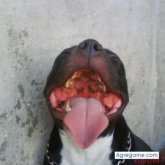 ruly chico soltero en Quilmes