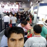 toodniar chico soltero en Juliaca